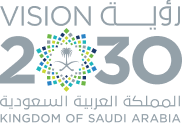 رؤية 2030